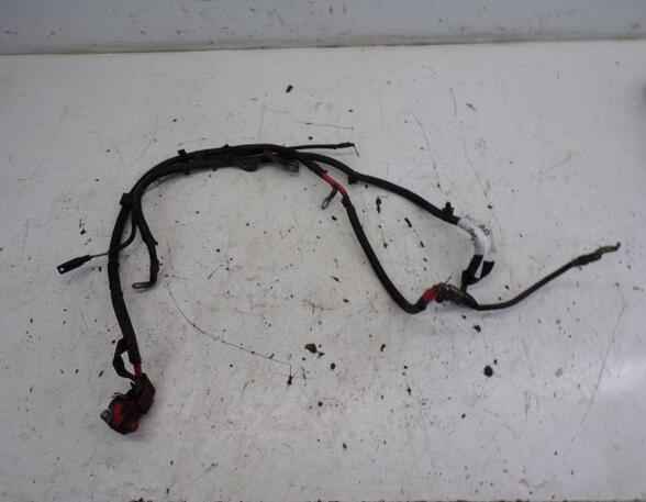 Wiring Harness FORD TRANSIT CONNECT (P65_, P70_, P80_)