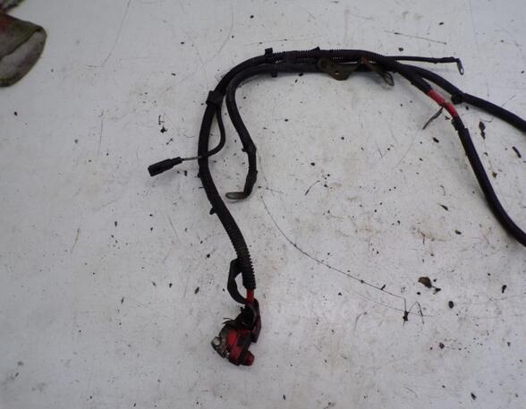 Wiring Harness FORD TRANSIT CONNECT (P65_, P70_, P80_)