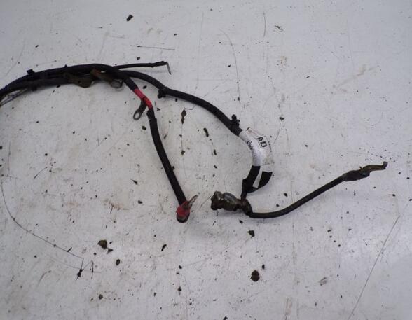 Wiring Harness FORD TRANSIT CONNECT (P65_, P70_, P80_)