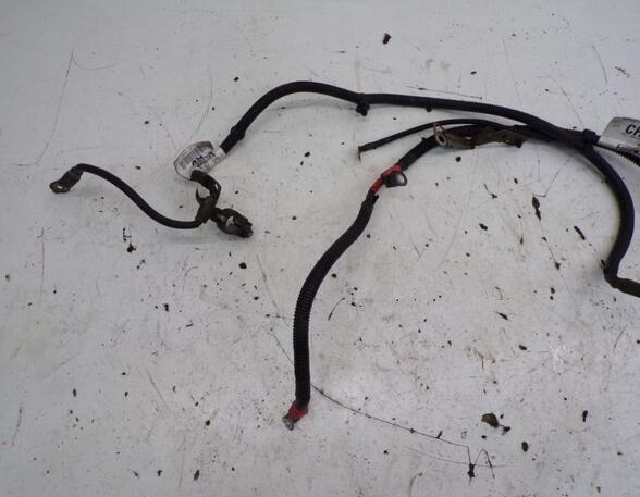 Wiring Harness FORD TRANSIT CONNECT (P65_, P70_, P80_)