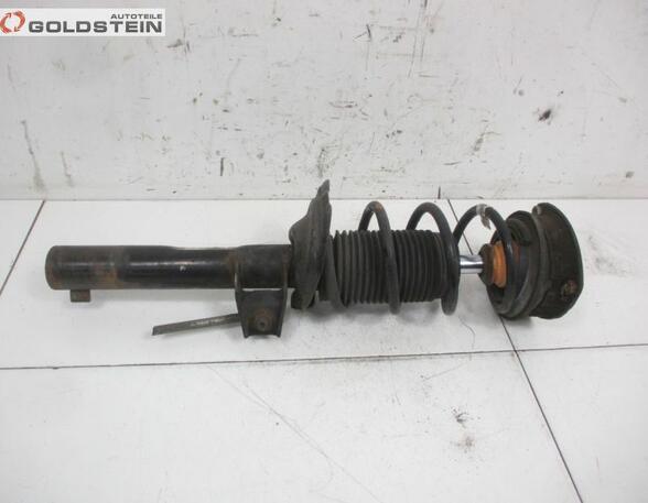 Suspension Strut SEAT Leon (5F1)