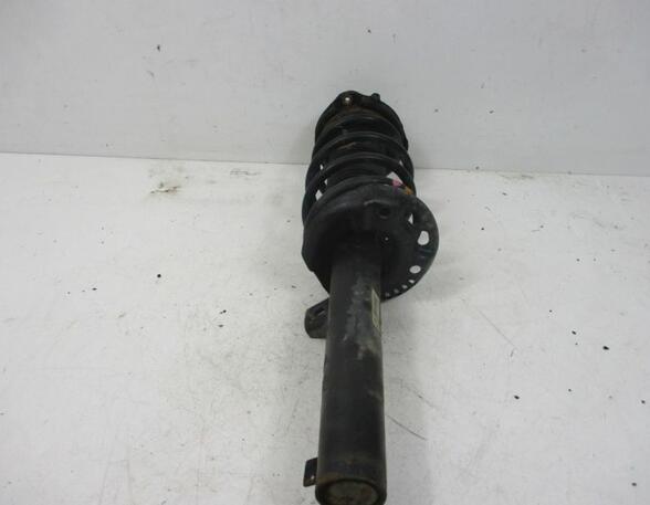 Suspension Strut SKODA Octavia II Combi (1Z5)