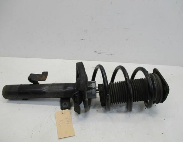 Suspension Strut FORD Focus C-Max (--)