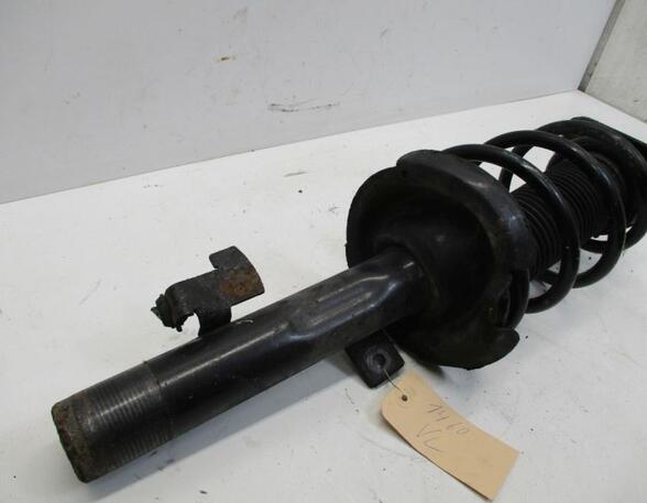 Suspension Strut FORD Focus C-Max (--)