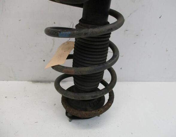 Suspension Strut FORD Transit Connect (P65, P70, P80)