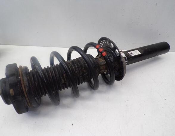 Suspension Strut SKODA Octavia II Combi (1Z5)