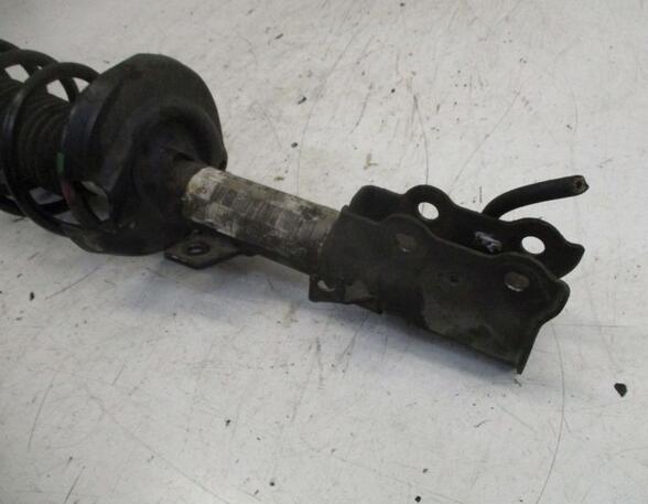 Suspension Strut FORD FIESTA VI (CB1, CCN)