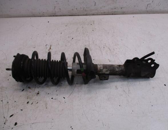 Suspension Strut FORD FIESTA VI (CB1, CCN)