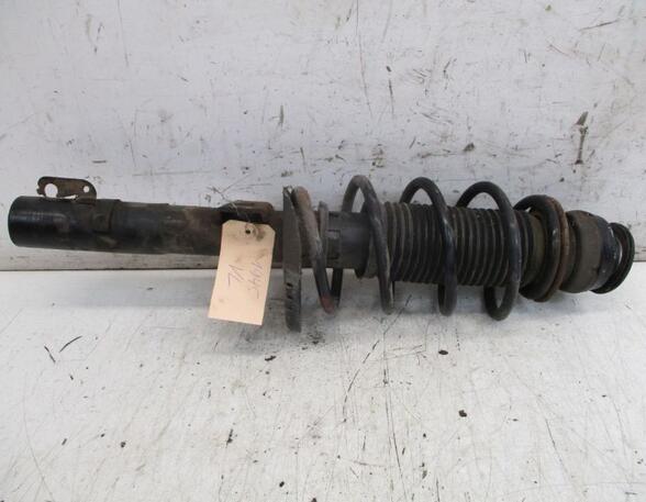 Suspension Strut SKODA FABIA II (542)