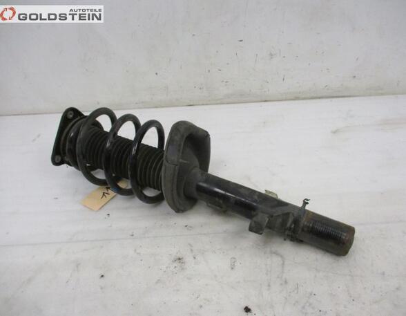 Suspension Strut FORD KUGA I, FORD KUGA II (DM2)