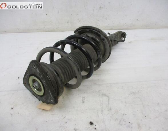 Suspension Strut FORD KUGA I, FORD KUGA II (DM2)