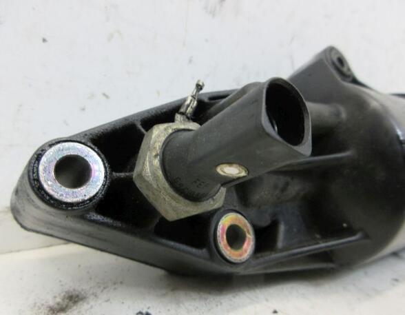 Oil Filter Housing Box AUDI A6 (4F2, C6)