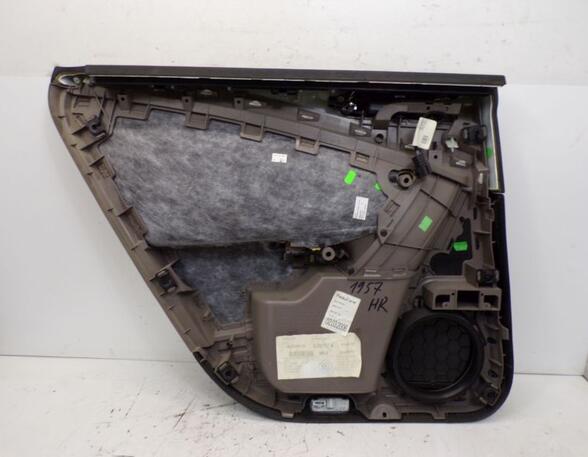 Door Card (Door Panel) VW PASSAT (3C2)