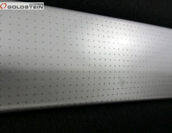 Door Card (Door Panel) MERCEDES-BENZ A-CLASS (W169)