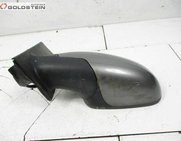 Wing (Door) Mirror SEAT Toledo III (5P2)