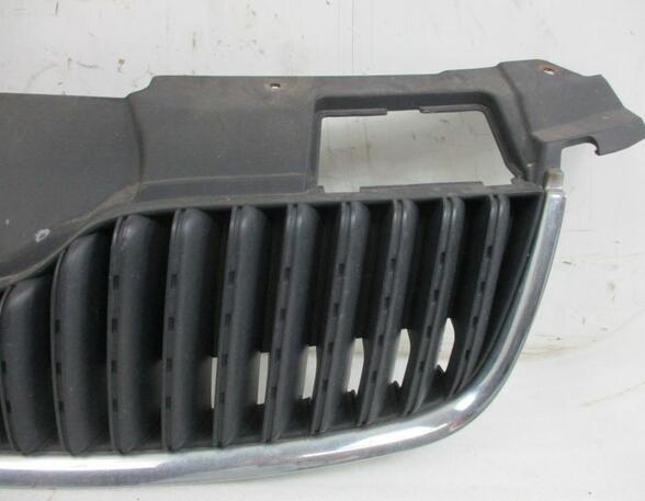 Radiateurgrille SKODA Roomster (5J)