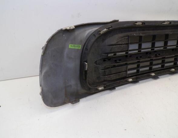 Radiator Grille MINI Mini (R56)