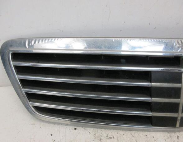 Radiator Grille MERCEDES-BENZ S-Klasse (W220)