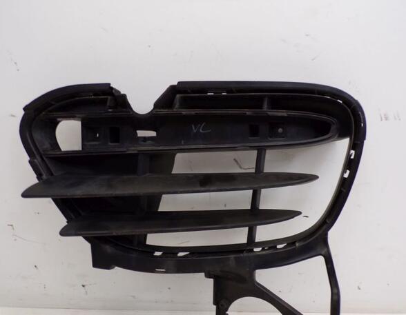 Radiator Grille PORSCHE CAYENNE (92A)