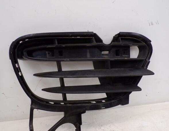 Radiator Grille PORSCHE CAYENNE (92A)