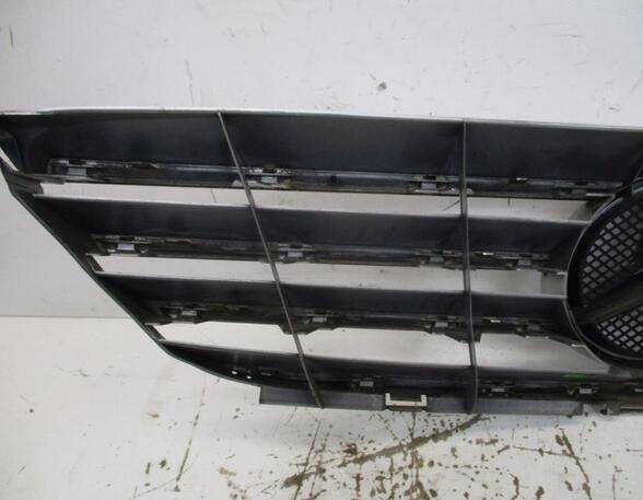 Radiator Grille MERCEDES-BENZ B-CLASS (W245)