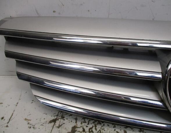 Radiator Grille MERCEDES-BENZ B-CLASS (W245)