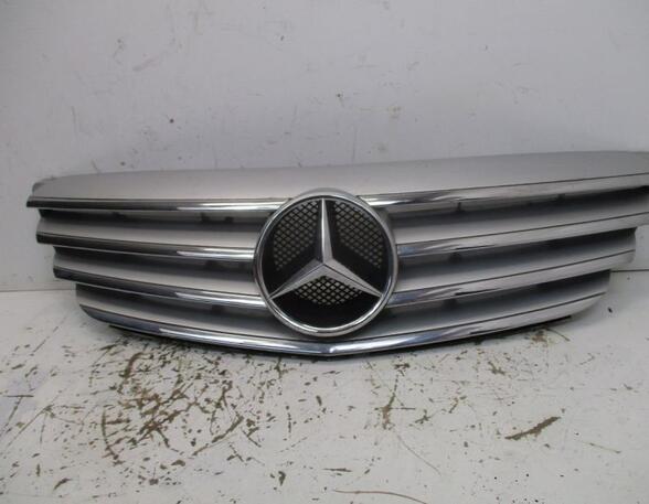 Radiator Grille MERCEDES-BENZ B-CLASS (W245)