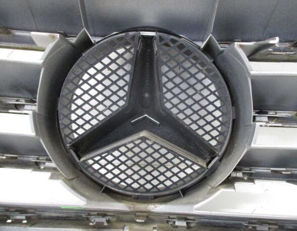 Radiator Grille MERCEDES-BENZ B-CLASS (W245)