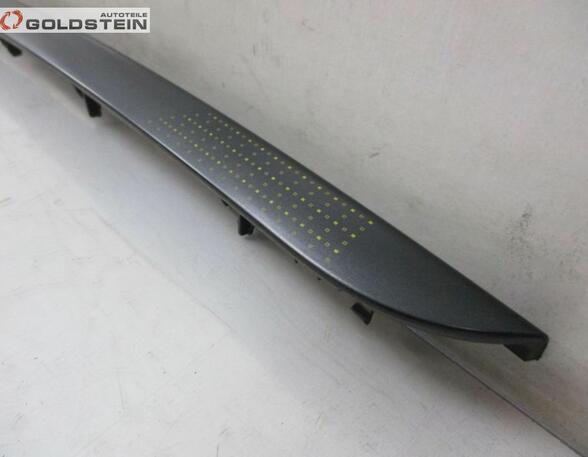 Trim Strip Mudguard RENAULT Scénic III (JZ0/1), RENAULT Grand Scénic III (JZ0/1)