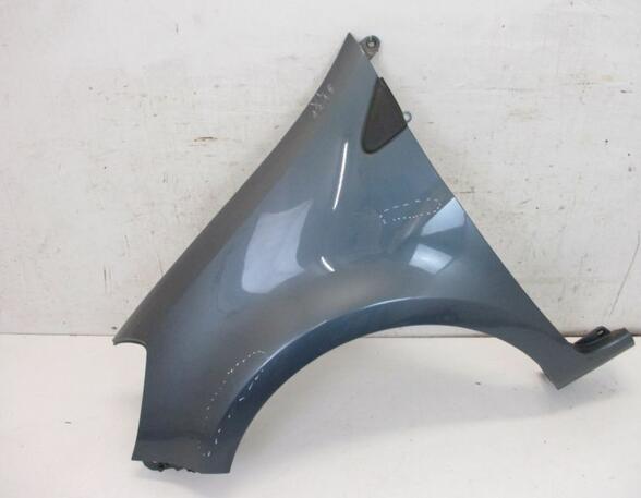 Wing RENAULT Clio III (BR0/1, CR0/1)