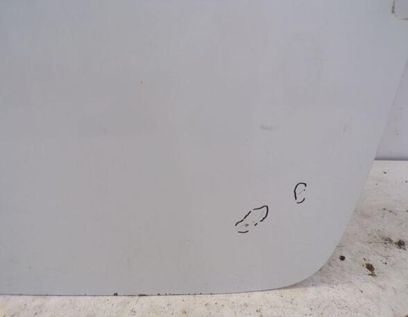 Rear Door FIAT DOBLO Cargo (263_)