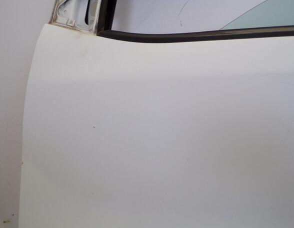 Door FIAT DOBLO Cargo (263_)