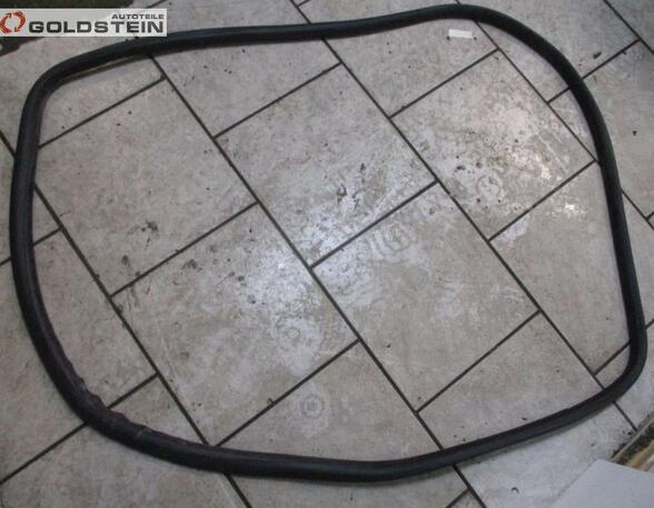 Door Seal SEAT Ibiza III (6L1)