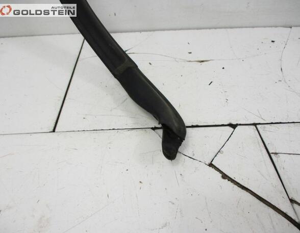 Door Seal FORD B-Max (JK)