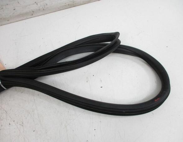 Door Seal SKODA Octavia II Combi (1Z5)