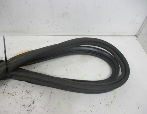 Door Seal VOLVO V70 III (135)