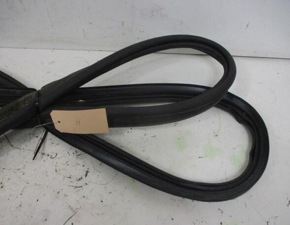 Door Seal VOLVO V70 III (135)