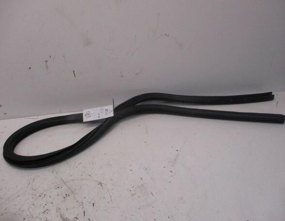 Door Seal PEUGEOT 207 CC (WD)