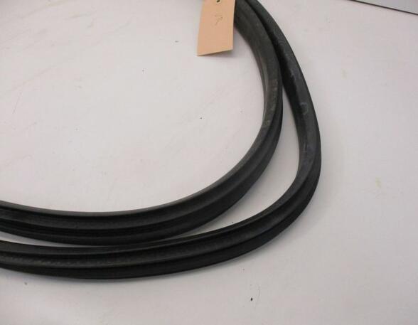 Door Seal RENAULT Captur I (H5, J5), RENAULT Clio IV (BH)