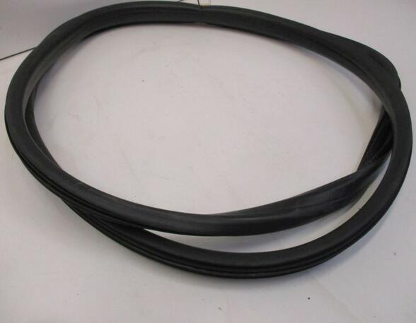 Door Seal RENAULT Captur I (H5, J5), RENAULT Clio IV (BH)