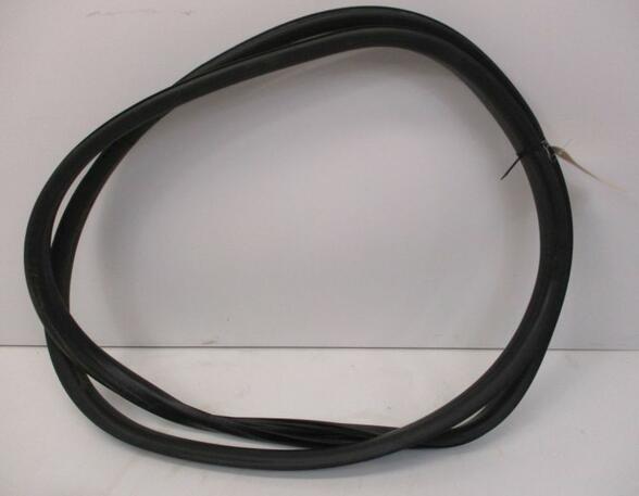 Door Seal RENAULT Captur I (H5, J5), RENAULT Clio IV (BH)