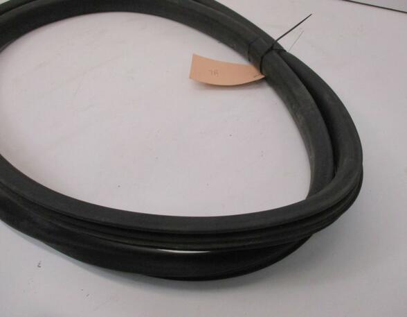 Door Seal RENAULT Captur I (H5, J5), RENAULT Clio IV (BH)