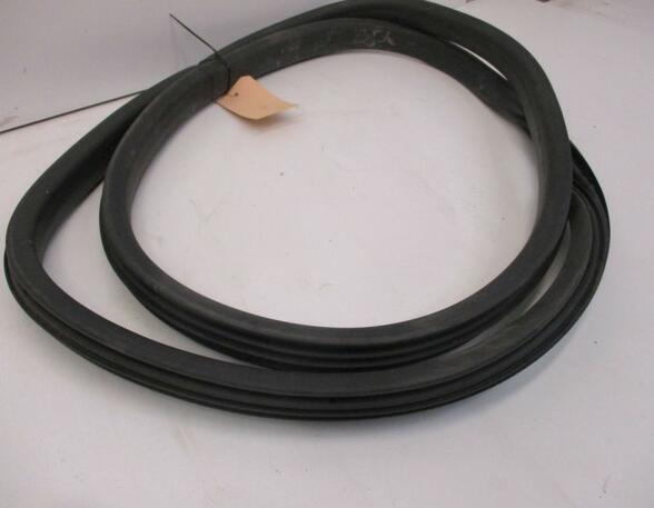 Door Seal RENAULT Captur I (H5, J5), RENAULT Clio IV (BH)