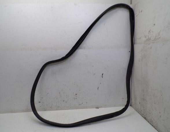 Door Seal RENAULT Megane III Schrägheck (B3, BZ0/1)