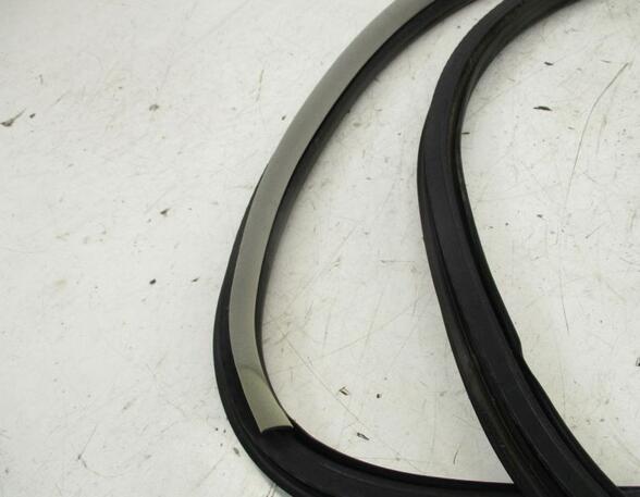 Door Seal RENAULT Laguna III Grandtour (KT0/1)