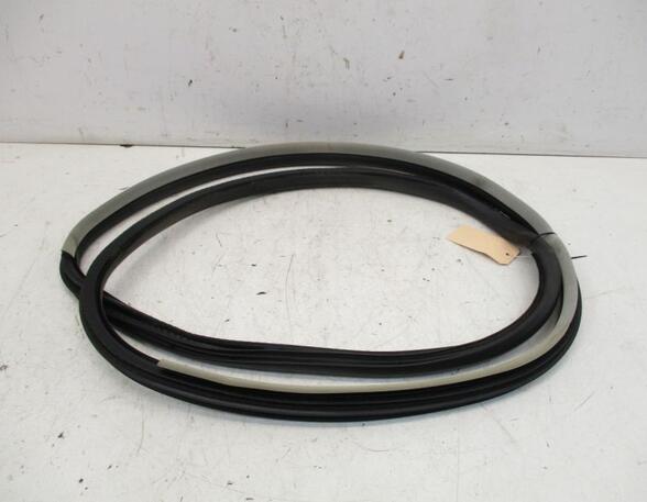 Door Seal RENAULT Laguna III Grandtour (KT0/1)