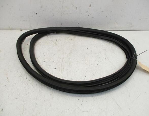 Door Seal RENAULT Laguna III Grandtour (KT0/1)