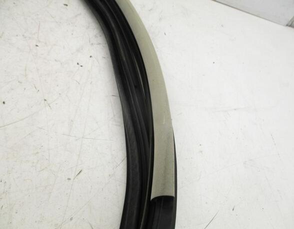 Door Seal RENAULT Laguna III Grandtour (KT0/1)