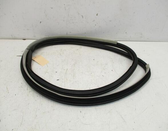 Door Seal RENAULT Laguna III Grandtour (KT0/1)