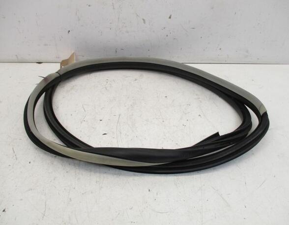 Door Seal RENAULT Laguna III Grandtour (KT0/1)